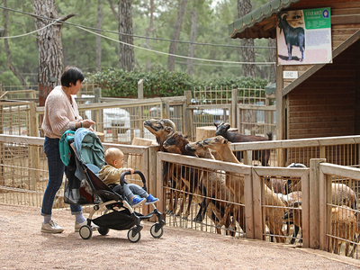 ANTALYA ZOO